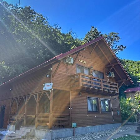 Costeşti Casa Favorit 빌라 외부 사진