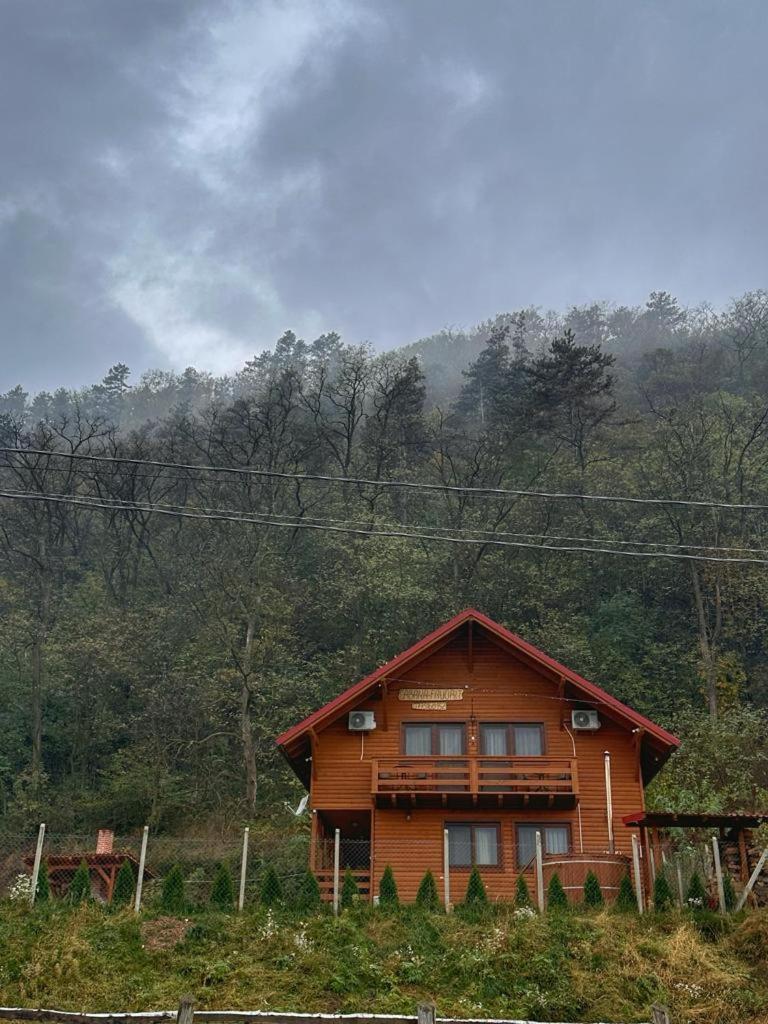 Costeşti Casa Favorit 빌라 외부 사진