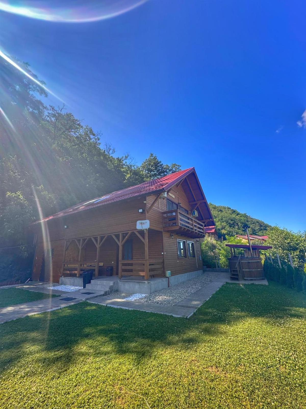 Costeşti Casa Favorit 빌라 외부 사진